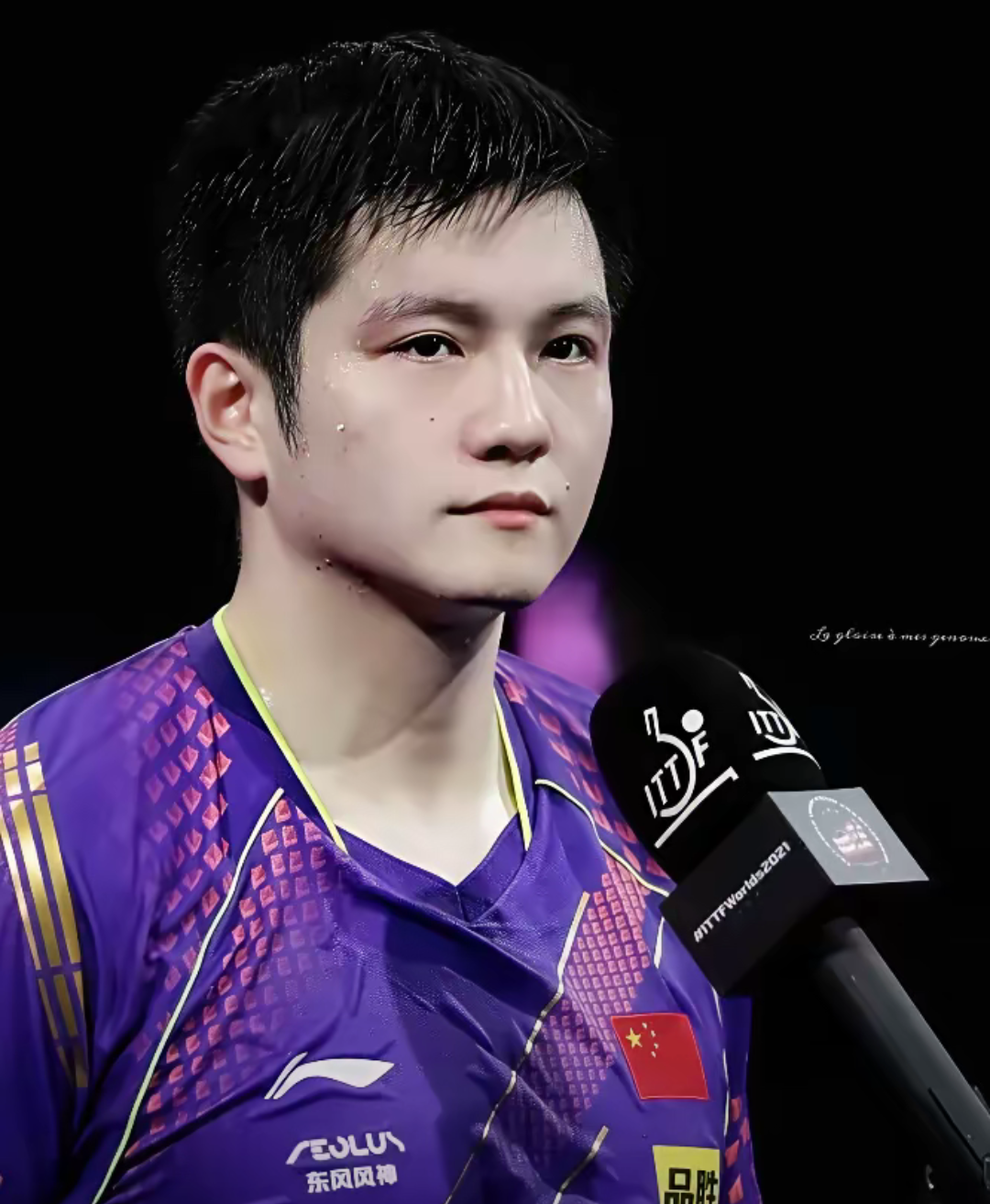 包含德国队鏖战奥地利队,樊振东惊艳四座的词条 包含德国队鏖战奥地利队,樊振东惊艳四座的词条