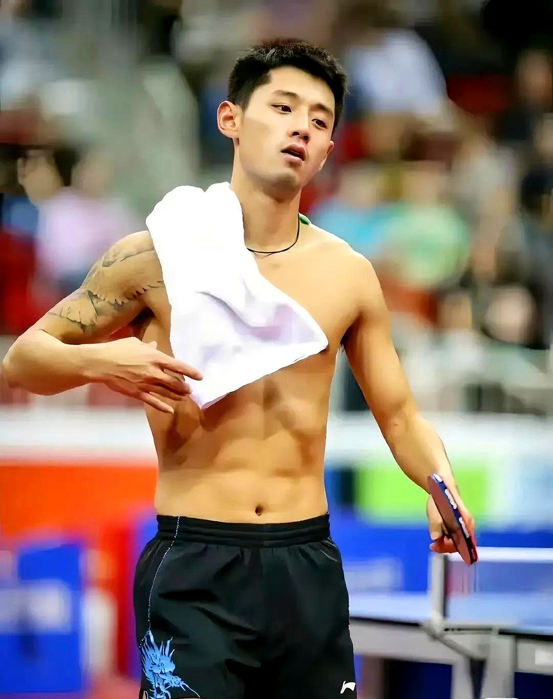 关于奥地利队横扫瑞典队,张继科刷新纪录的信息 关于奥地利队横扫瑞典队,张继科刷新纪录的信息