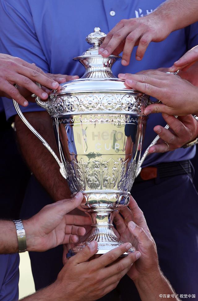 戴维斯杯完胜温网，蒂姆带队取胜